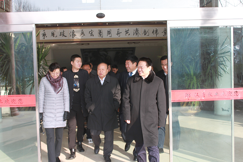 1527149266111138_IMG_6239.jpg IMG_6239.JPG