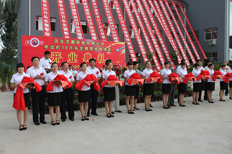 1527151387416977_6.jpg 6.jpg